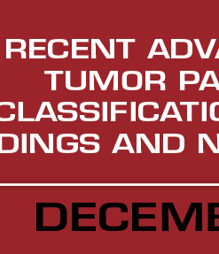 Recent Advances in Soft Tissue Tumor Pathology: Evolving Classification, Novel Molecular Findings and New Diagnostic Markers