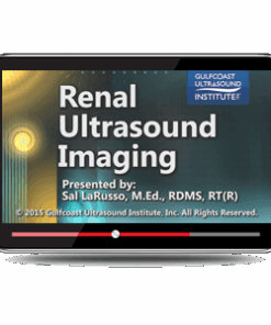 Renal Ultrasound Imaging