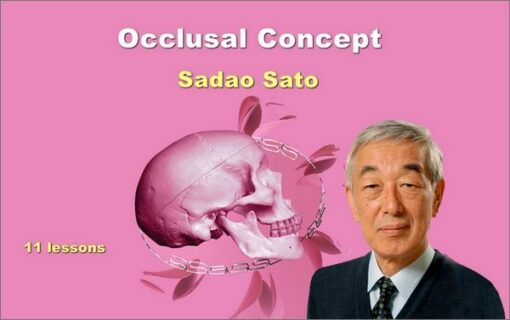 Occlusal Concept - Sadao Sato