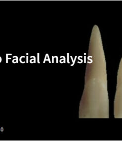 Spear An Introduction to Facial Analysis