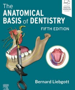 The Anatomical Basis of Dentistry 5th Edition pdf