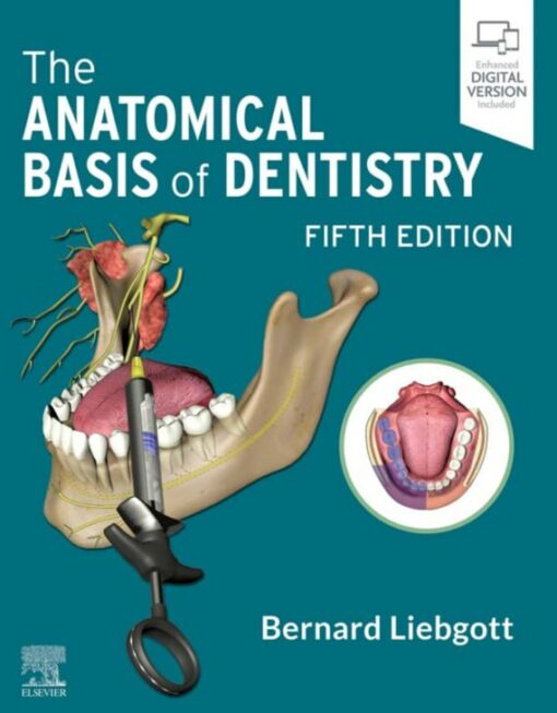 The Anatomical Basis of Dentistry 5th Edition pdf