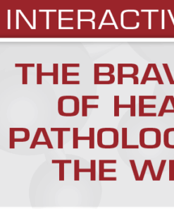 The Brave New World of Head and Neck Pathology: Updates on the WHO and More