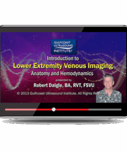Ultrasound Evaluation of the Lower Extremity Venous System