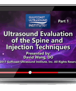 Ultrasound Evaluation of the Spine and Injection Techniques