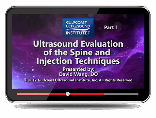 Ultrasound Evaluation of the Spine and Injection Techniques