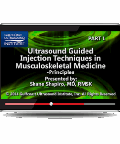 Ultrasound-Guided Injections in Musculoskeletal Medicine