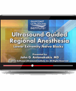 Ultrasound-Guided Regional Anesthesia: Lower Extremities