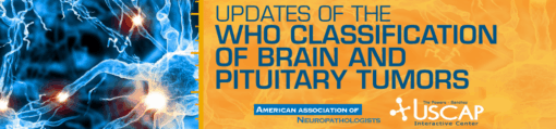 Updates of the WHO Classification of Brain and Pituitary Tumors