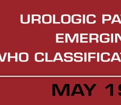 Urologic Pathology in 2017: Emerging Concepts, WHO Classification and AJCC Updated