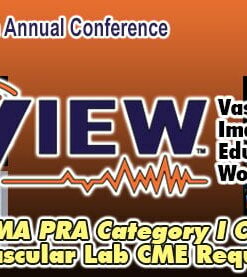 SVU 45th Annual Conference: Vascular Imaging Educators Workshop 2023 (Videos)