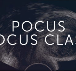 123Sonography OB/GYN US FocusClass (Videos+Quiz)