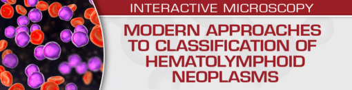USCAP Modern Approaches to Classification of Hematolymphoid Neoplasms 2022 (CME VIDEOS)