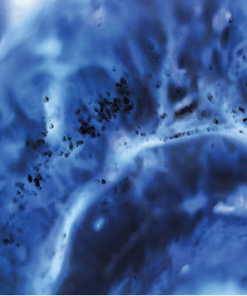 Molecular Diagnostics: Cancer Diagnosis and Patient Management 2021 (CME VIDEOS)