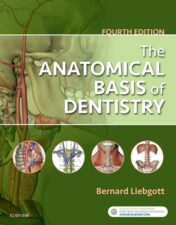The Anatomical Basis of Dentistry, 4th Edition (PDF)