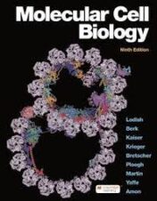 Molecular Cell Biology, 9th Edition (Epub + Converted PDF)