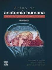 Atlas de anatomía humana Estudio fotográfico del cuerpo humano 2021 Original pdf