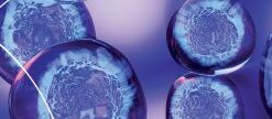 [email protected] Endocrinology Update Review Course 2022 (CME VIDEOS)