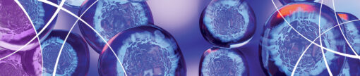 Endocrinology Update Review Course 2022 (CME VIDEOS)