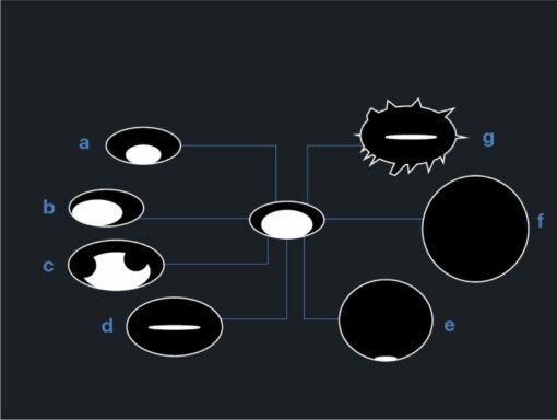Imaging Mastery Series: Management of Breast Findings 2021 cme videos