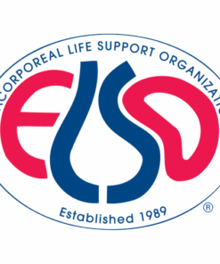 ELSO Foundations Adulto (Complete HTML)