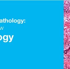 Classic Lectures in Pathology: What You Need to Know: Lung Pathology 2018 (CME VIDEOS)