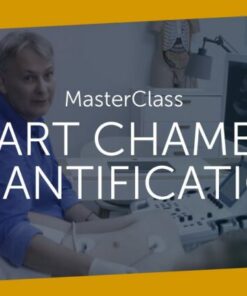 123sonography MasterClass HEART CHAMBER QUANTIFICATION (Videos)