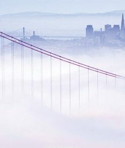 UCSF CME COVID-19 for Clinicians: Up-to-the-Minute Advances 2022 (CME VIDEOS)