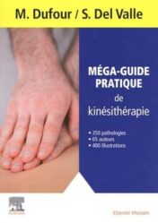 Mega guide pratique de kinesitherapie(Hors-collection) (French Edition) True PDF 2021