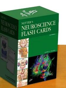 Netter’s Neuroscience Flash Cards, 2e (Netter Basic Science)