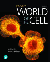 Becker's World of the Cell, 10th edition 2021 Original pdf