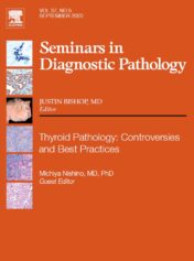 Seminars in Diagnostic Pathology VOL 37 , NO 5 SEPTEMBER 2020  True PDF