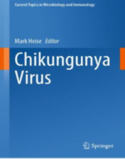 Chikungunya virus current topics in microbiology and immunology 435. 2022 original pdf