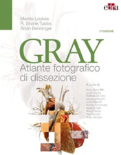 Gray Atlante fotografico di dissezione, 2° edizione 2022 EPUB & converted pdf