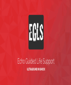 ECHO-Guided Life Support Using ultrasound to categorise shock and guide initial management  CME VIDEOS