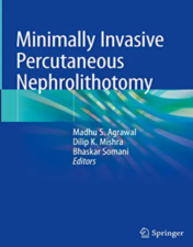 Minimally Invasive Percutaneous Nephrolithotomy 2022 Original PDF