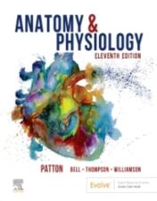 Anatomy & Physiology, 11th Edition 2022 EPUB & converted pdf
