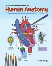 A Visual Analogy Guide to Human Anatomy, 5th Edition 2021 High Quality Image PDF