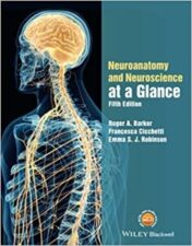 Neuroanatomy and Neuroscience at a Glance, 5th Edition 2017 Original pdf