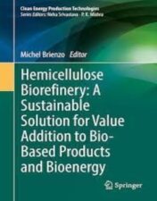 Hemicellulose Biorefinery: A Sustainable Solution for Value Addition to Bio-Based Products and Bioenergy 2022 Original pdf